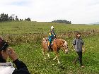 PA080010_.JPG